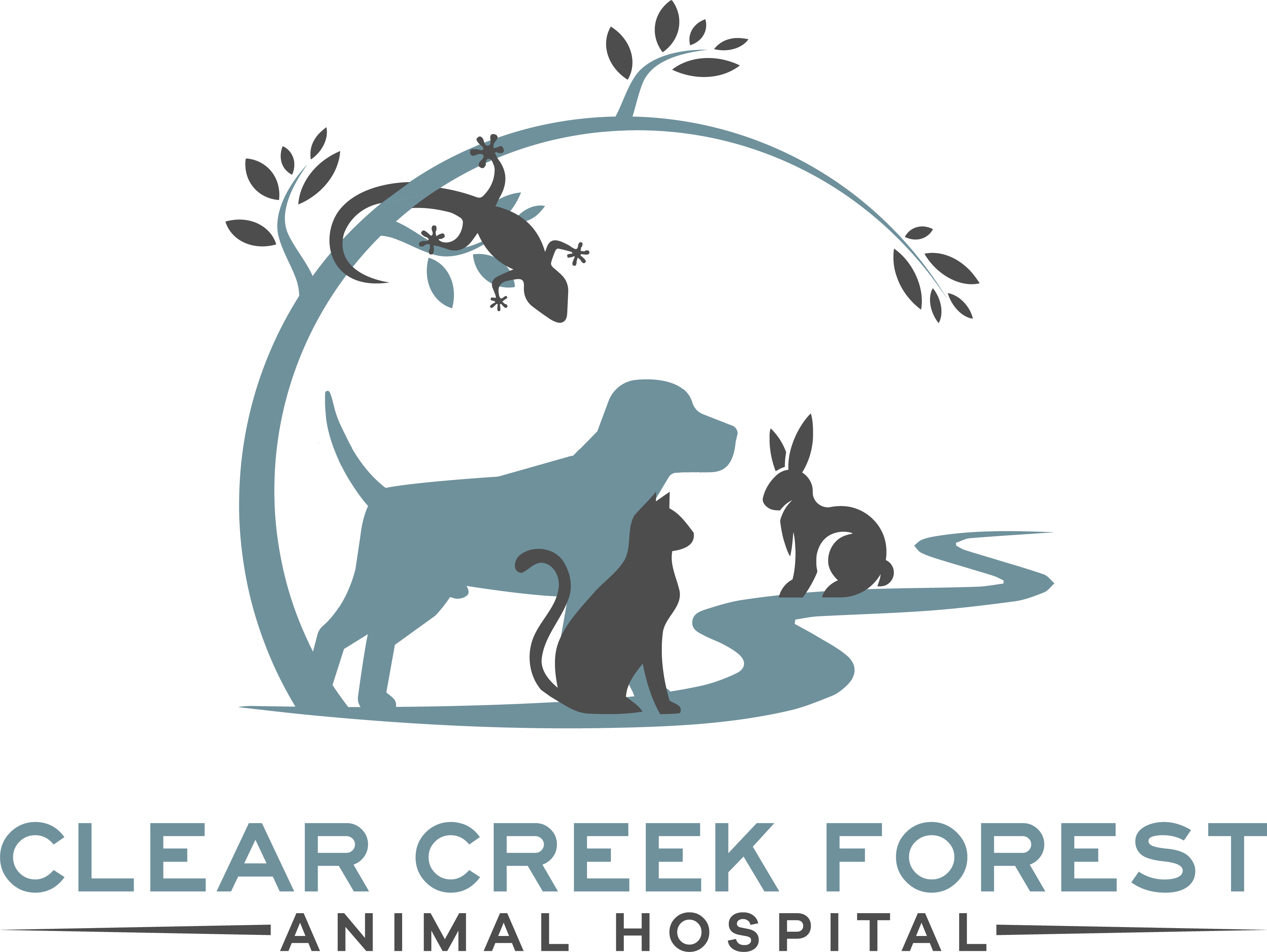 clear creek forest animal hospital png